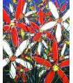 Close up of original art work Tangled Flowers by David Hart